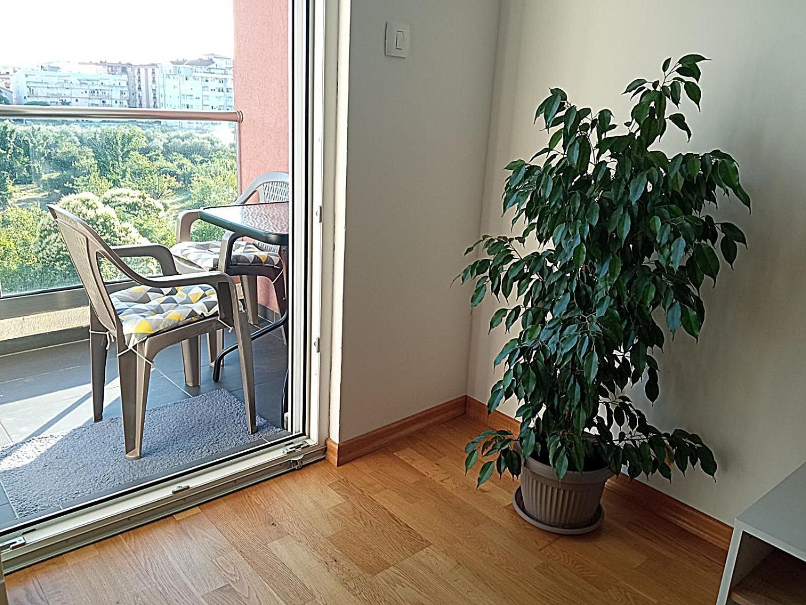 Aga Apartman Подгориця Екстер'єр фото